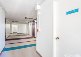 1255 Nuuanu Avenue,Honolulu,Hawaii,96817,1 ベッドルーム ベッドルーム,1 バスルームバスルーム,コンド / タウンハウス,Nuuanu,6,18384268