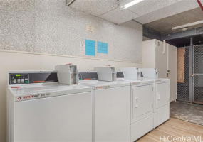 201 Ohua Avenue,Honolulu,Hawaii,96815,1 ベッドルーム ベッドルーム,1 バスルームバスルーム,コンド / タウンハウス,Ohua,32,18385008
