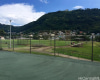 2086 Palolo Avenue,Honolulu,Hawaii,96816,3 ベッドルーム ベッドルーム,1 バスルームバスルーム,一戸建て,Palolo,18385068
