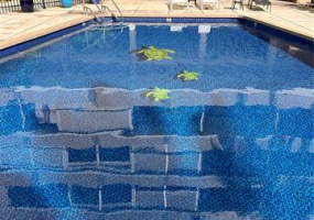 1720 Ala Moana Boulevard,Honolulu,Hawaii,96815,1 Bedroom Bedrooms,1 BathroomBathrooms,Condo/Townhouse,Ala Moana,2,18387359