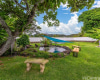 763 Kaipii Street,Kailua,Hawaii,96734,4 Bedrooms Bedrooms,2 BathroomsBathrooms,Single family,Kaipii,18391310