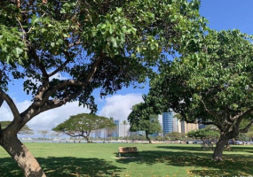 410 Atkinson Drive,Honolulu,Hawaii,96814,1 Bedroom Bedrooms,1 BathroomBathrooms,Condo/Townhouse,Atkinson,8,18391462
