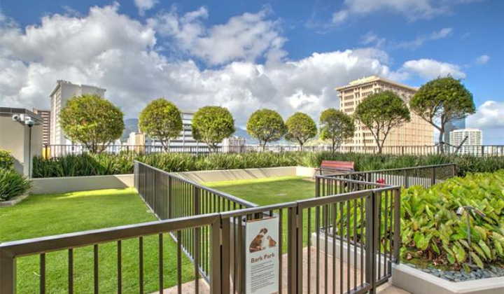 1555 Kapiolani Boulevard,Honolulu,Hawaii,96814,3 ベッドルーム ベッドルーム,3 バスルームバスルーム,コンド / タウンハウス,Kapiolani,23,18842865