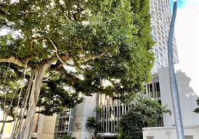 1212 Punahou Street,Honolulu,Hawaii,96826,4 ベッドルーム ベッドルーム,2 バスルームバスルーム,コンド / タウンハウス,Punahou,10,18393305
