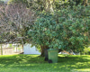 2931 Park Street,Honolulu,Hawaii,96817,2 Bedrooms Bedrooms,2 BathroomsBathrooms,Single family,Park,18395863