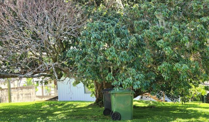 2931 Park Street,Honolulu,Hawaii,96817,2 Bedrooms Bedrooms,2 BathroomsBathrooms,Single family,Park,18395863