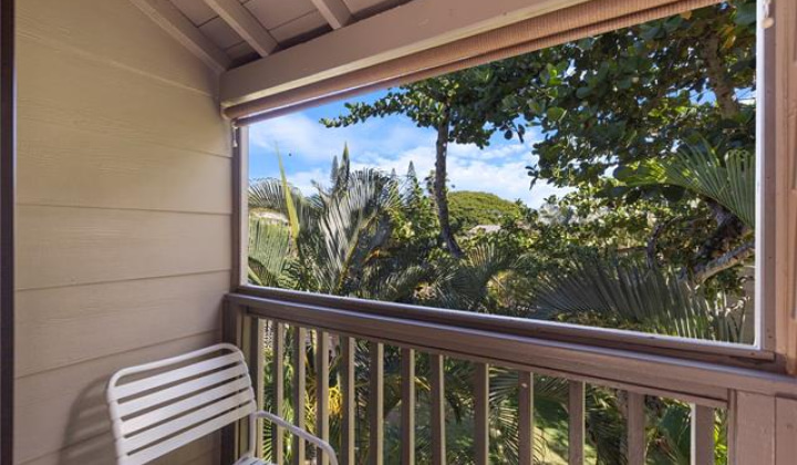 45-995 Wailele Road,Kaneohe,Hawaii,96744,2 ベッドルーム ベッドルーム,2 バスルームバスルーム,コンド / タウンハウス,Wailele,2,18396660