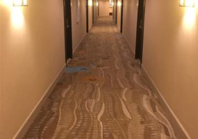 1777 Ala Moana Boulevard,Honolulu,Hawaii,96815,1 ベッドルーム ベッドルーム,1 バスルームバスルーム,コンド / タウンハウス,Ala Moana,9,18400565