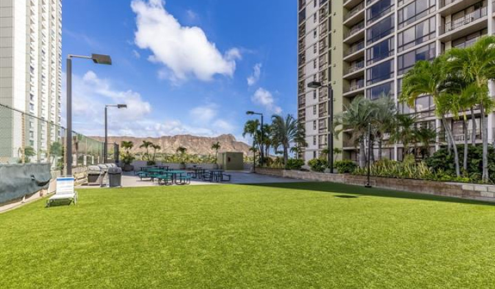 229 Paoakalani Avenue,Honolulu,Hawaii,96815,2 ベッドルーム ベッドルーム,1 バスルームバスルーム,コンド / タウンハウス,Paoakalani,10,18856897