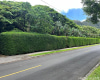187 Dowsett Avenue,Honolulu,Hawaii,96817,1 ベッドルーム ベッドルーム,1 バスルームバスルーム,一戸建て,Dowsett,18872001
