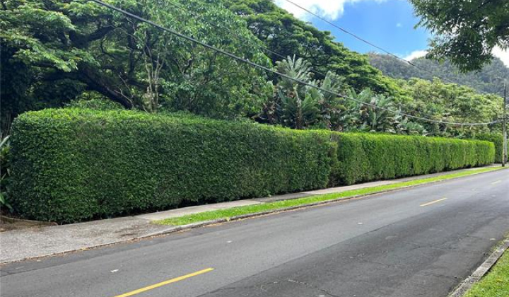 187 Dowsett Avenue,Honolulu,Hawaii,96817,1 ベッドルーム ベッドルーム,1 バスルームバスルーム,一戸建て,Dowsett,18872001