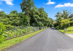 187 Dowsett Avenue,Honolulu,Hawaii,96817,1 ベッドルーム ベッドルーム,1 バスルームバスルーム,一戸建て,Dowsett,18872001