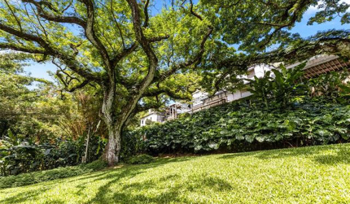 187 Dowsett Avenue,Honolulu,Hawaii,96817,1 ベッドルーム ベッドルーム,1 バスルームバスルーム,一戸建て,Dowsett,18872001