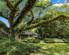 187 Dowsett Avenue,Honolulu,Hawaii,96817,1 ベッドルーム ベッドルーム,1 バスルームバスルーム,一戸建て,Dowsett,18872001