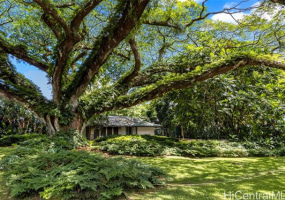 187 Dowsett Avenue,Honolulu,Hawaii,96817,1 ベッドルーム ベッドルーム,1 バスルームバスルーム,一戸建て,Dowsett,18872001