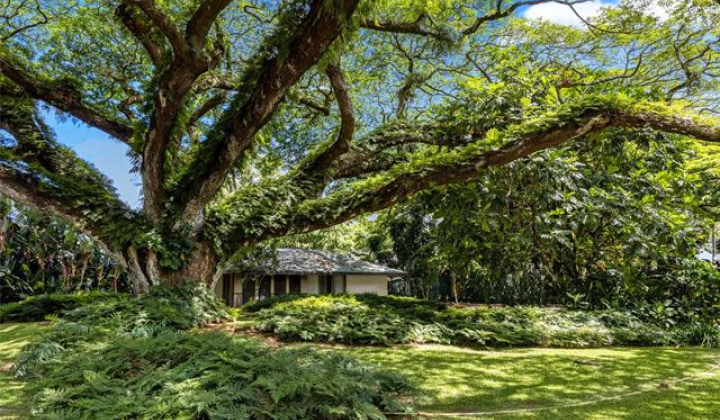 187 Dowsett Avenue,Honolulu,Hawaii,96817,1 ベッドルーム ベッドルーム,1 バスルームバスルーム,一戸建て,Dowsett,18872001