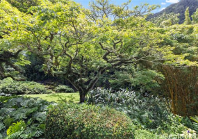 187 Dowsett Avenue,Honolulu,Hawaii,96817,1 ベッドルーム ベッドルーム,1 バスルームバスルーム,一戸建て,Dowsett,18872001