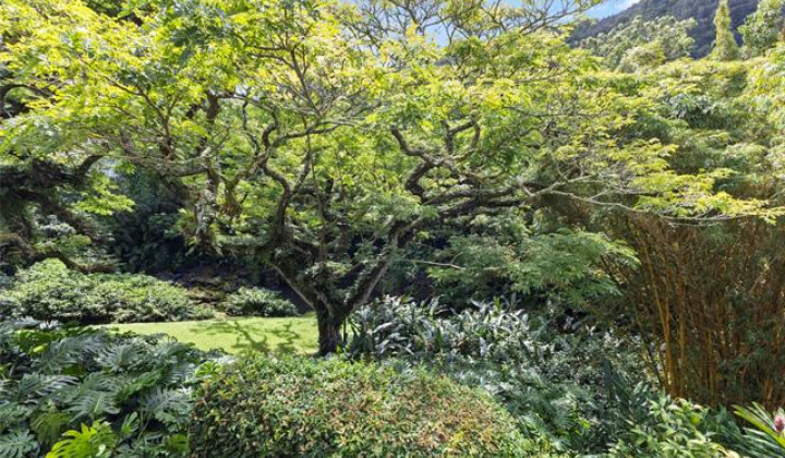 187 Dowsett Avenue,Honolulu,Hawaii,96817,1 ベッドルーム ベッドルーム,1 バスルームバスルーム,一戸建て,Dowsett,18872001