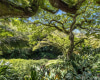 187 Dowsett Avenue,Honolulu,Hawaii,96817,1 ベッドルーム ベッドルーム,1 バスルームバスルーム,一戸建て,Dowsett,18872001