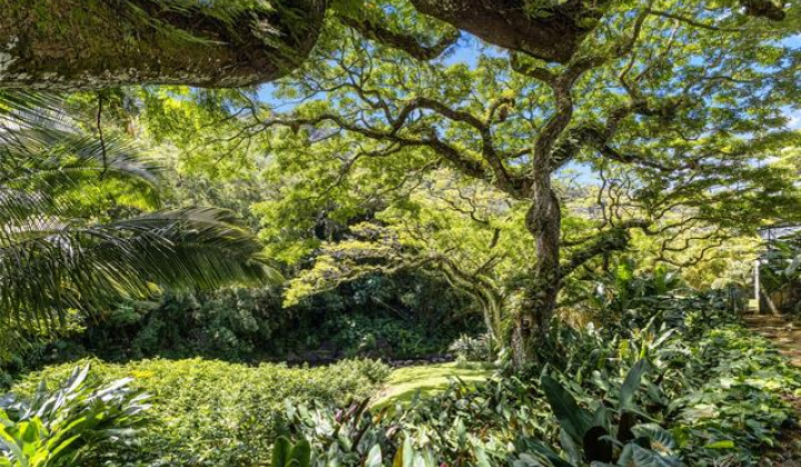187 Dowsett Avenue,Honolulu,Hawaii,96817,1 ベッドルーム ベッドルーム,1 バスルームバスルーム,一戸建て,Dowsett,18872001
