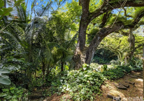 187 Dowsett Avenue,Honolulu,Hawaii,96817,1 ベッドルーム ベッドルーム,1 バスルームバスルーム,一戸建て,Dowsett,18872001