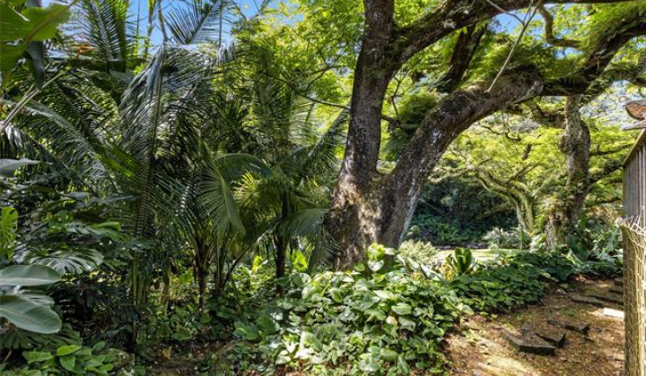 187 Dowsett Avenue,Honolulu,Hawaii,96817,1 ベッドルーム ベッドルーム,1 バスルームバスルーム,一戸建て,Dowsett,18872001