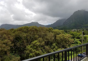46-270 Kahuhipa Street,Kaneohe,Hawaii,96744,2 ベッドルーム ベッドルーム,1 バスルームバスルーム,コンド / タウンハウス,Kahuhipa,6,18874425