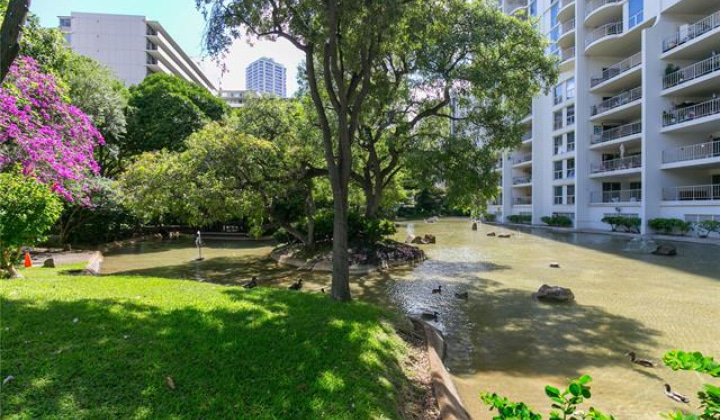 469 Ena Road,Honolulu,Hawaii,96815,1 ベッドルーム ベッドルーム,1 バスルームバスルーム,コンド / タウンハウス,Ena,14,18877086