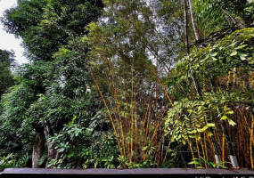 46-359 Haiku Road,Kaneohe,Hawaii,96744,3 Bedrooms Bedrooms,2 BathroomsBathrooms,Condo/Townhouse,Haiku,1,19037579