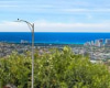 1947 Alaeloa Street,Honolulu,Hawaii,96821,7 ベッドルーム ベッドルーム,5 バスルームバスルーム,一戸建て,Alaeloa,18883097