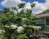 2296 Waiomao Road,Honolulu,Hawaii,96816,3 ベッドルーム ベッドルーム,4 バスルームバスルーム,一戸建て,Waiomao,18885008