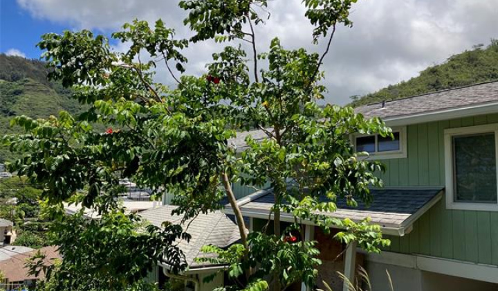 2296 Waiomao Road,Honolulu,Hawaii,96816,3 ベッドルーム ベッドルーム,4 バスルームバスルーム,一戸建て,Waiomao,18885008