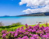 255/257 Portlock Road,Honolulu,Hawaii,96825,6 Bedrooms Bedrooms,7 BathroomsBathrooms,Single family,Portlock,18886581