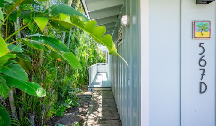 567 Kawailoa Road,Kailua,Hawaii,96734,4 ベッドルーム ベッドルーム,3 バスルームバスルーム,一戸建て,Kawailoa,18889402