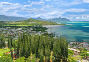 46-60 Konane Place,Kaneohe,Hawaii,96744,2 ベッドルーム ベッドルーム,1 バスルームバスルーム,コンド / タウンハウス,Konane,2,18893972