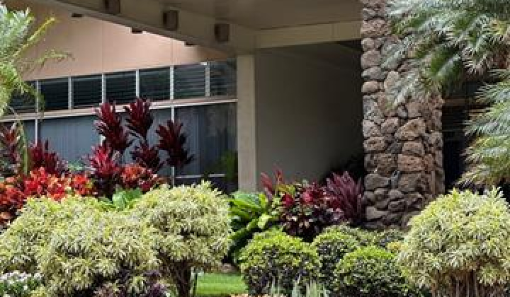 411 Kaiolu Street,Honolulu,Hawaii,96815,1 ベッドルーム ベッドルーム,1 バスルームバスルーム,コンド / タウンハウス,Kaiolu,4,18905250