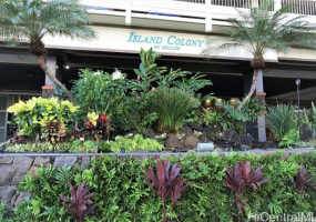 445 Seaside Avenue,Honolulu,Hawaii,96815,1 バスルームバスルーム,コンド / タウンハウス,Seaside,24,18906477