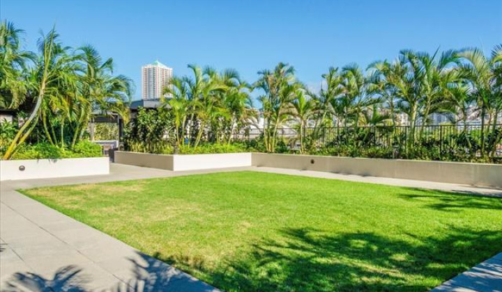 1009 Kapiolani Boulevard,Honolulu,Hawaii,96814,2 ベッドルーム ベッドルーム,2 バスルームバスルーム,コンド / タウンハウス,Kapiolani,26,18909118